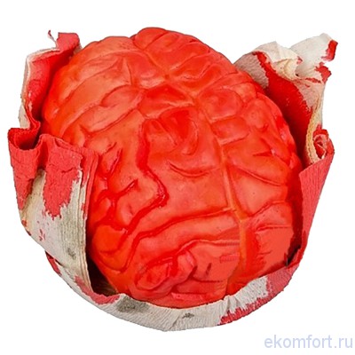 Окровавленный мозг Вес: 0.100 кг
Размер: 7 * 13 см
Материал: латекс
Производство: Италия