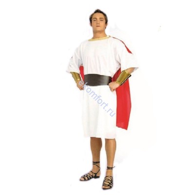 Карнавальный костюм «Римский Центурион» В комплект входят: рубашка с красной накидкой, пояс и рукава
Размер: 46-48
Материал: полиэстер
Артикул: ПТ1356