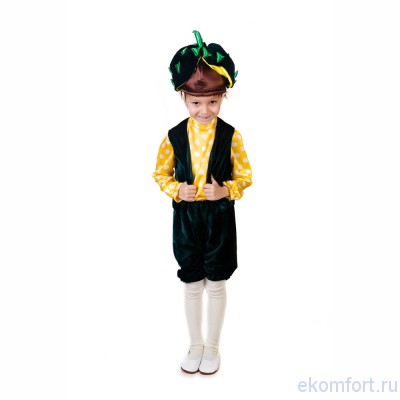 Костюм Каштан  Карнавальный костюм "Каштан" детскийКомплектность: шапочка, жилет, рубашка и шорты.  Материал: атлас, велюр Рассчитан на рост от 110 до 120 см.
Производство: Украина
