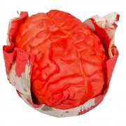 Окровавленный мозг
