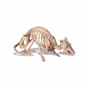 Декорация "Скелет крысы"