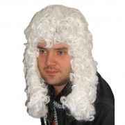 Карнавальный парик Судья