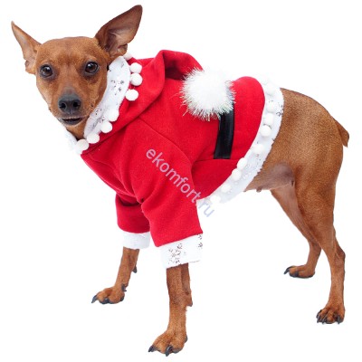 Костюм на собаку «Санта» В новогоднюю ночь теперь и ваш домашний питомец сможет дополнить атмосферу праздника!
Размеры: S, M, L
Артикул: 2019-4