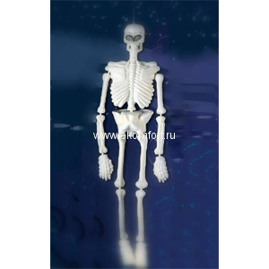 Подвеска &quot;Скелет&quot;объемный Подвеска "Скелет"объемный, арт.7959, выполнен из пластика, высота 140 см.
Производство: Италия