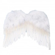 Ангельские крылья большие