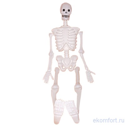 Скелетик подвесной Вес: 0.300 кг
Длина: 120 см
Материал: пластик
Производство: Китай