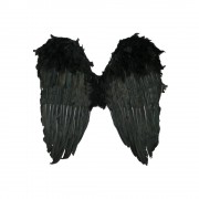 Перьевые чёрные крылья